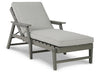 Visola Chaise Lounge with Cushion Homeline Furniture