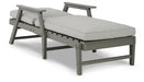 Visola Chaise Lounge with Cushion Homeline Furniture