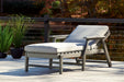 Visola Chaise Lounge with Cushion Homeline Furniture