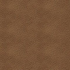 Bolsena  Sofa Sleeper