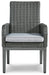Elite Park Arm Chair With Cushion (2/CN) Homeline Furniture